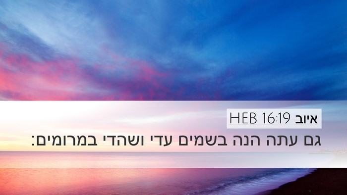 איוב 16:19 HEB Bible Verse Image