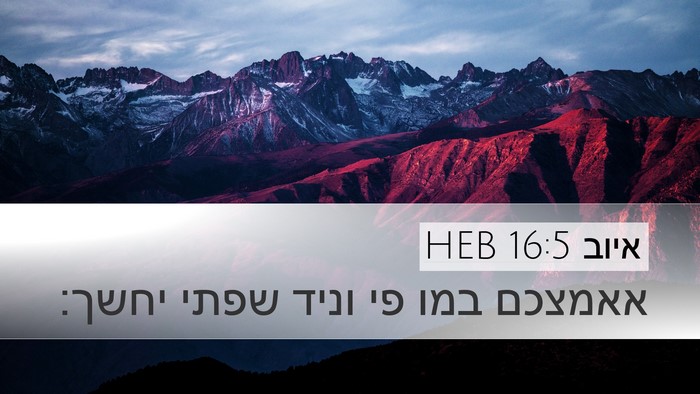איוב 16:5 HEB Bible Verse Image