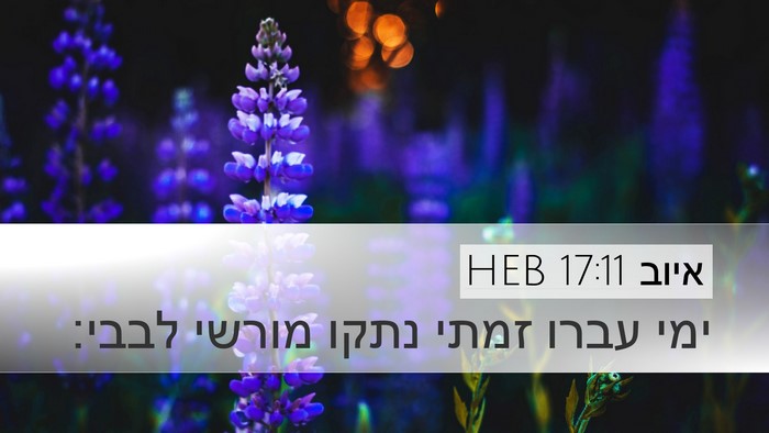 איוב 17:11 HEB Bible Verse Image