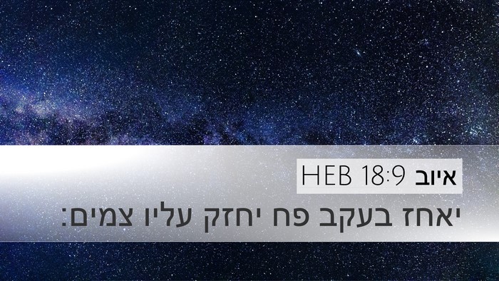 איוב 18:9 HEB Bible Verse Image