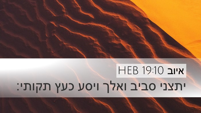 איוב 19:10 HEB Bible Verse Image