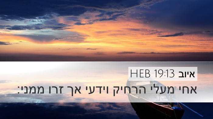 איוב 19:13 HEB Bible Verse Image