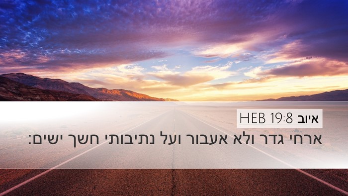 איוב 19:8 HEB Bible Verse Image