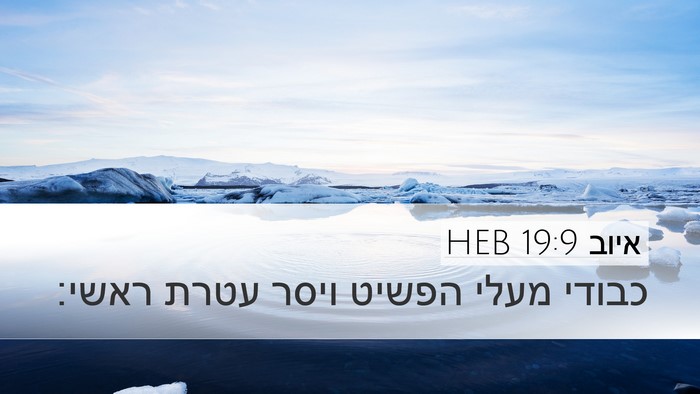 איוב 19:9 HEB Bible Verse Image