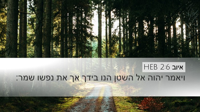 איוב 2:6 HEB Bible Verse Image