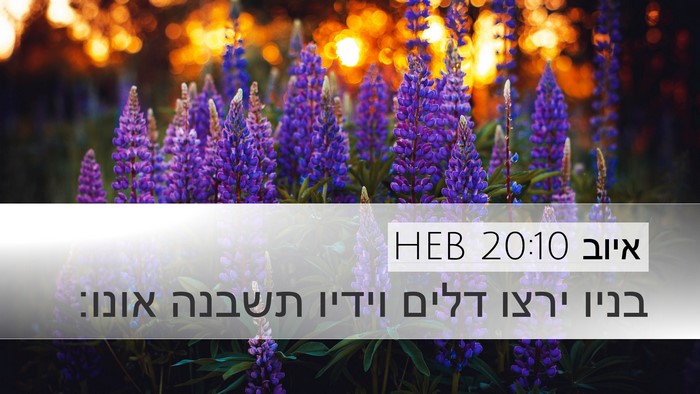 איוב 20:10 HEB Bible Verse Image