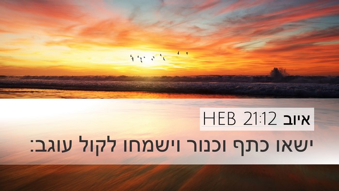 איוב 21:12 HEB Bible Verse Image