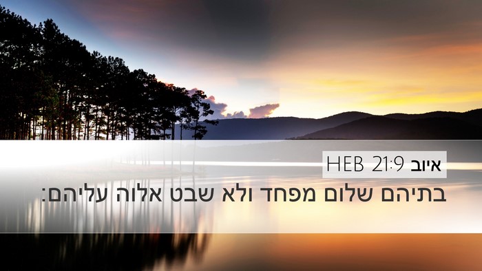 איוב 21:9 HEB Bible Verse Image