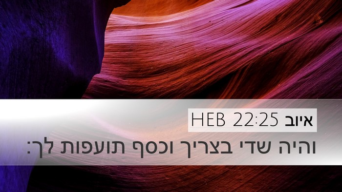 איוב 22:25 HEB Bible Verse Image