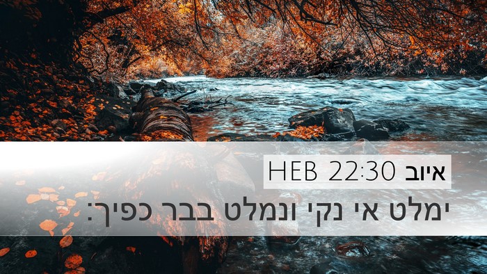 איוב 22:30 HEB Bible Verse Image