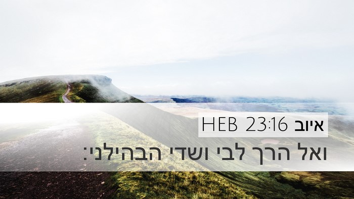 איוב 23:16 HEB Bible Verse Image