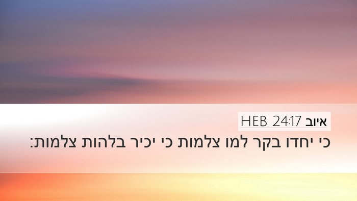 איוב 24:17 HEB Bible Verse Image