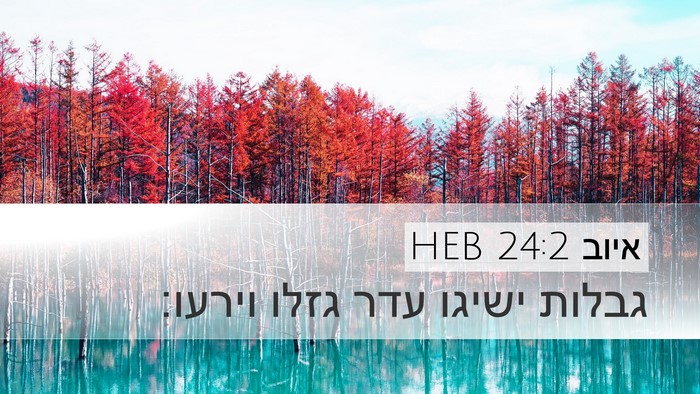 איוב 24:2 HEB Bible Verse Image