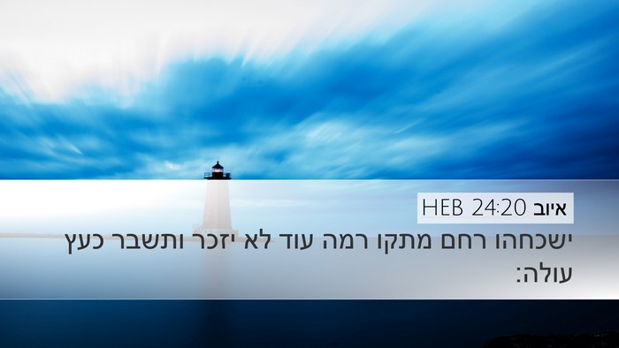 איוב 24:20 HEB Bible Verse Image