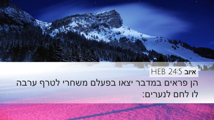איוב 24:5 HEB Bible Verse Image