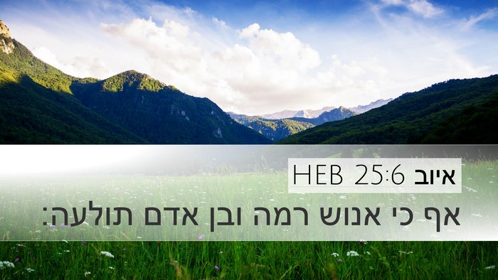 איוב 25:6 HEB Bible Verse Image