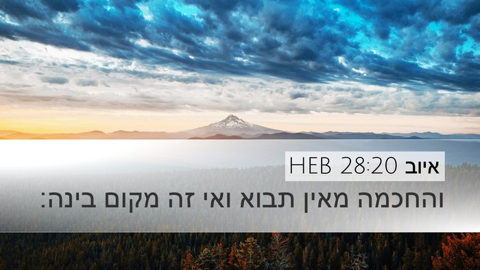 איוב 28:20 HEB Bible Verse Image