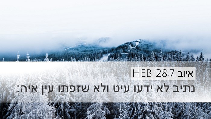 איוב 28:7 HEB Bible Verse Image