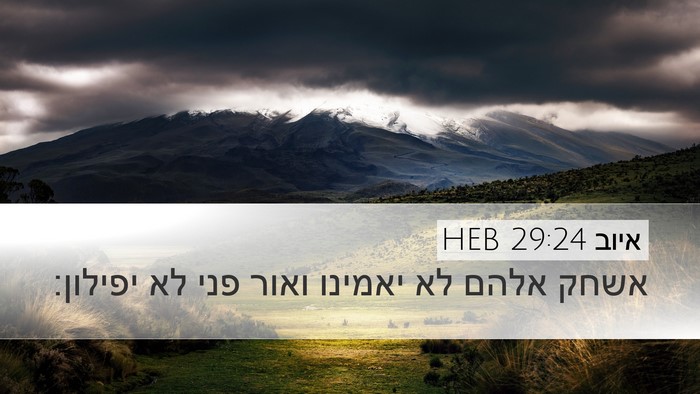 איוב 29:24 HEB Bible Verse Image