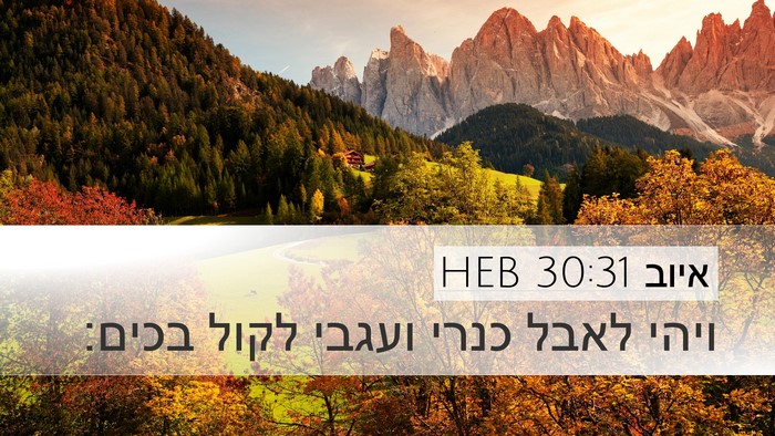 איוב 30:31 HEB Bible Verse Image