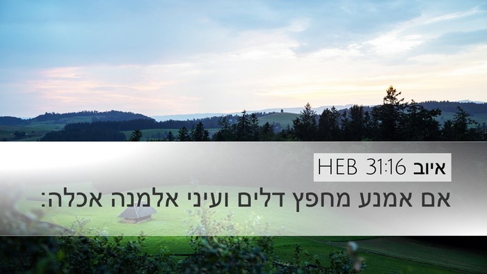 איוב 31:16 HEB Bible Verse Image