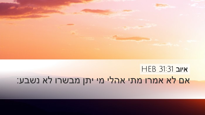איוב 31:31 HEB Bible Verse Image