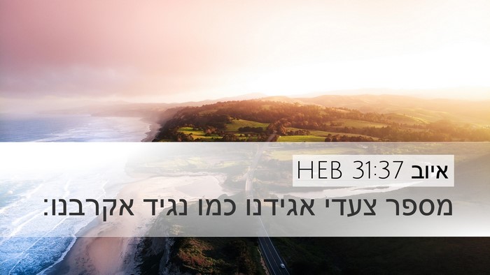 איוב 31:37 HEB Bible Verse Image