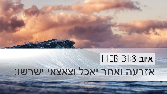 איוב 31:8 HEB Bible Verse Image