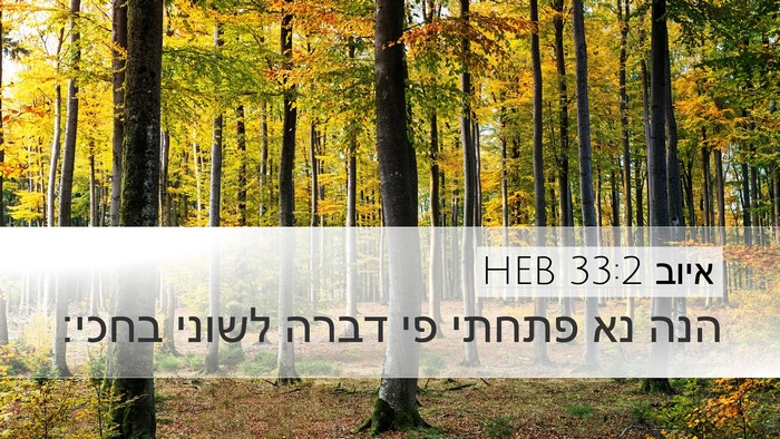איוב 33:2 HEB Bible Verse Image