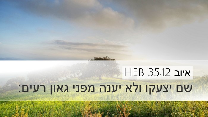 איוב 35:12 HEB Bible Verse Image
