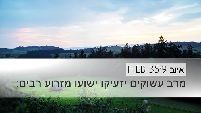 איוב 35:9 HEB Bible Verse Image
