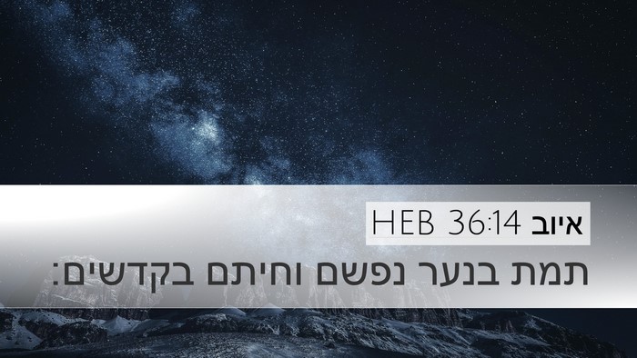 איוב 36:14 HEB Bible Verse Image