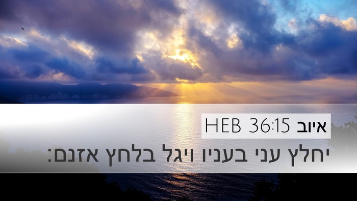 איוב 36:15 HEB Bible Verse Image