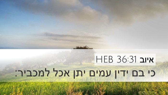 איוב 36:31 HEB Bible Verse Image