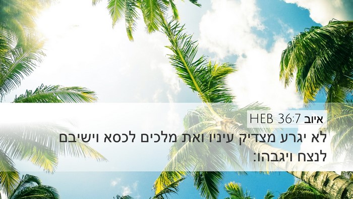 איוב 36:7 HEB Bible Verse Image