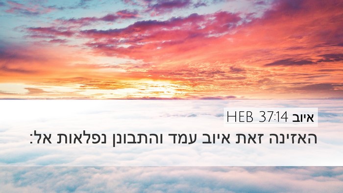 איוב 37:14 HEB Bible Verse Image