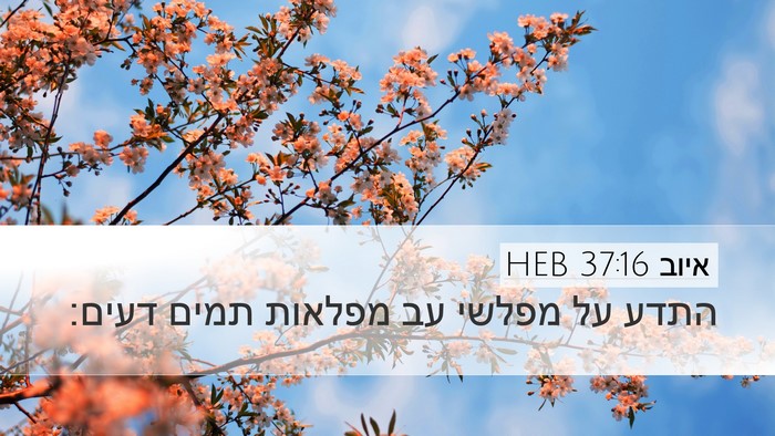 איוב 37:16 HEB Bible Verse Image