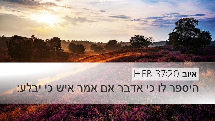 איוב 37:20 HEB Bible Verse Image