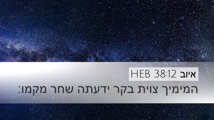 איוב 38:12 HEB Bible Verse Image