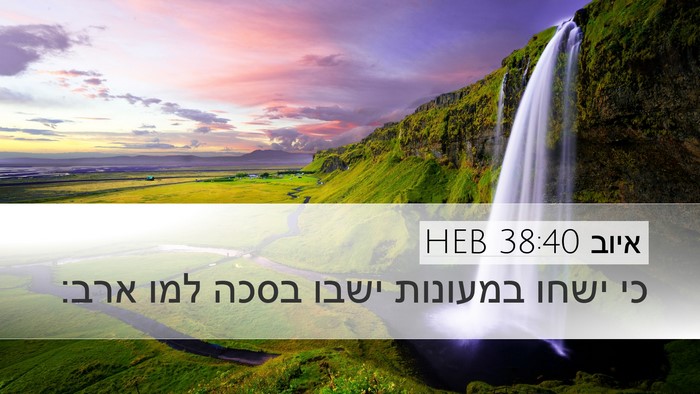 איוב 38:40 HEB Bible Verse Image
