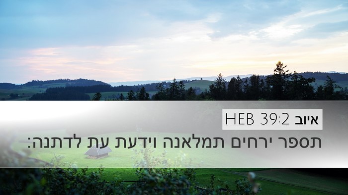 איוב 39:2 HEB Desktop Wallpaper - תספר ירחים תמלאנה וידעת עת - Desktop Bible Verse Wallpaper