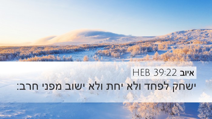 איוב 39:22 HEB Bible Verse Image
