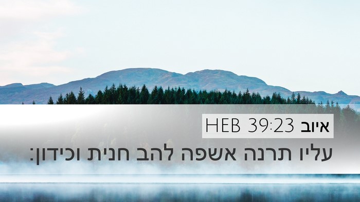 איוב 39:23 HEB Bible Verse Image