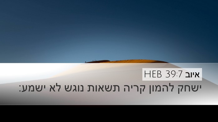 איוב 39:7 HEB Desktop Wallpaper - ישחק להמון קריה תשאות נוגש - Desktop Bible Verse Wallpaper