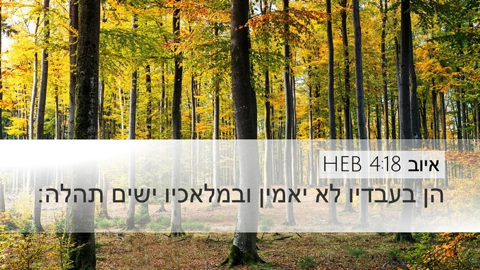 איוב 4:18 HEB Bible Verse Image