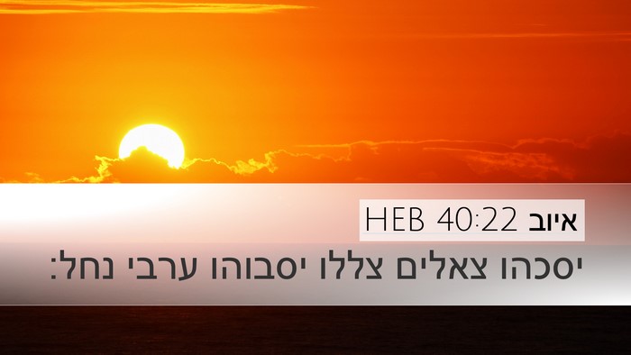 איוב 40:22 HEB Bible Verse Image