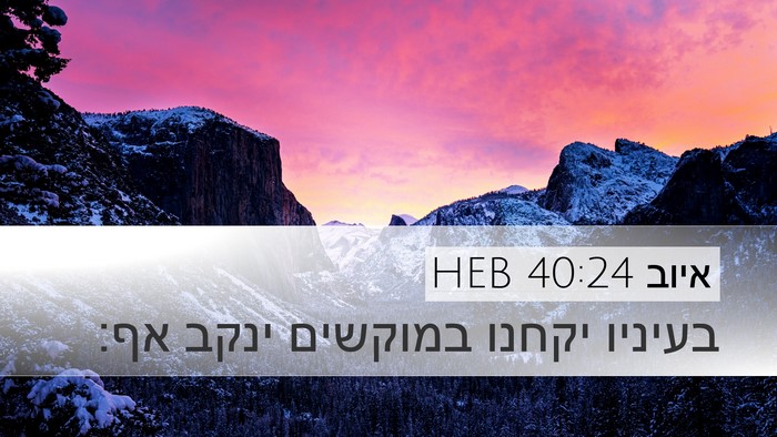 איוב 40:24 HEB Desktop Wallpaper - בעיניו יקחנו במוקשים ינקב - Desktop Bible Verse Wallpaper