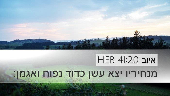איוב 41:20 HEB Bible Verse Image
