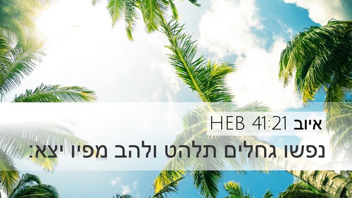 איוב 41:21 HEB Bible Verse Image