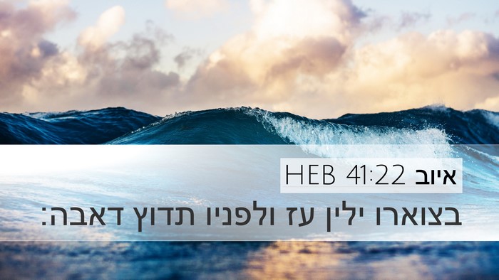 איוב 41:22 HEB Desktop Wallpaper - בצוארו ילין עז ולפניו תדוץ - Desktop Bible Verse Wallpaper